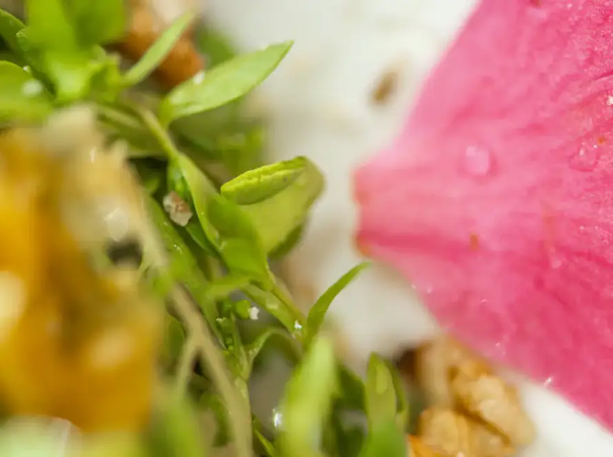 Ensalada con pétalos de flores